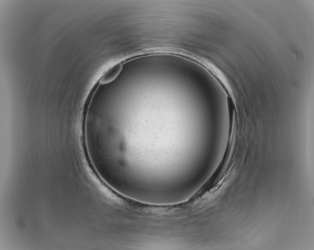 X0000110951005200906261317