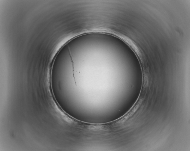 X0000110951006200906261317