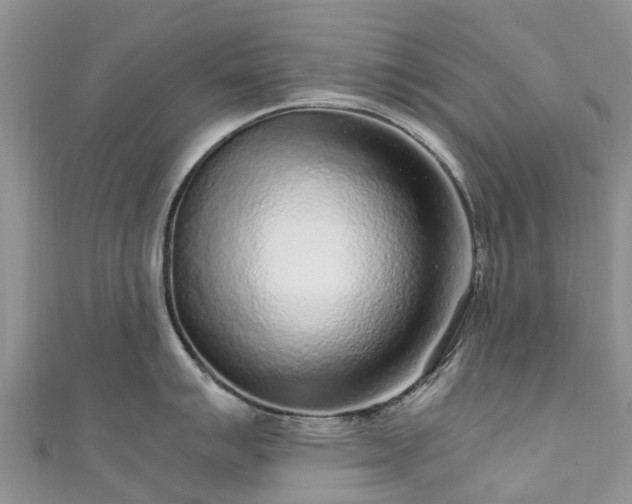 X0000110951007200906261317