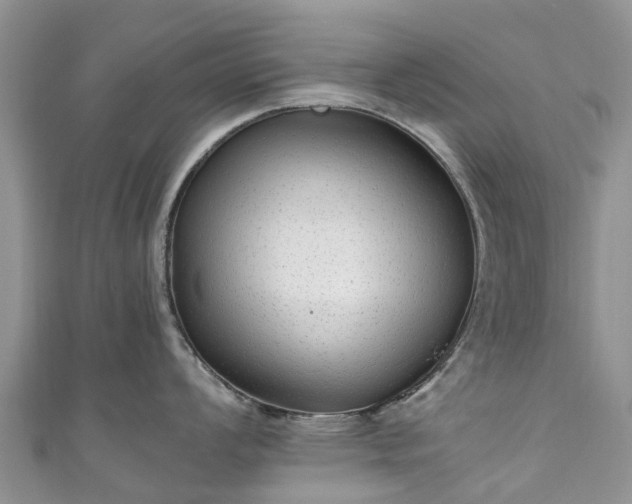 X0000110951008200906261317