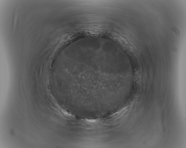 X0000110951009200906261316