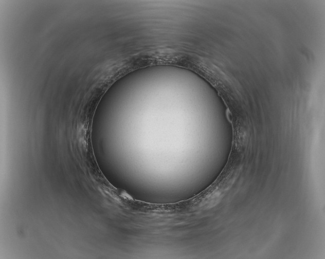 X0000110951010200906261316
