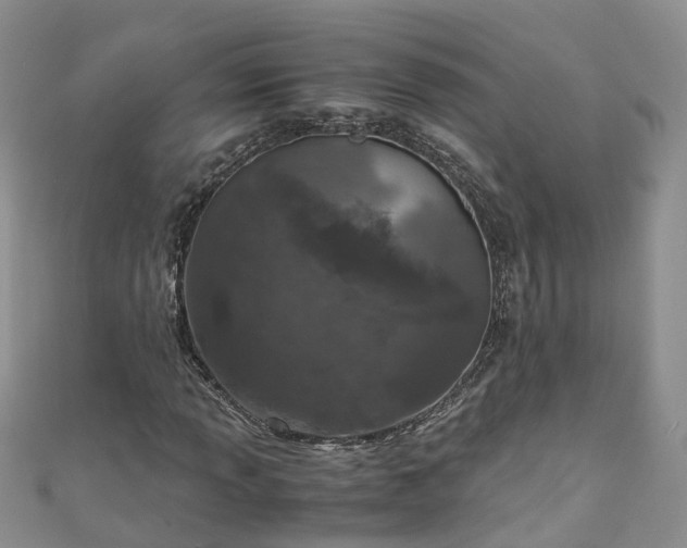 X0000110951013200906261316