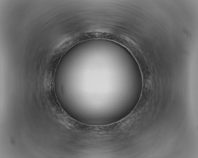 X0000110951014200906261316