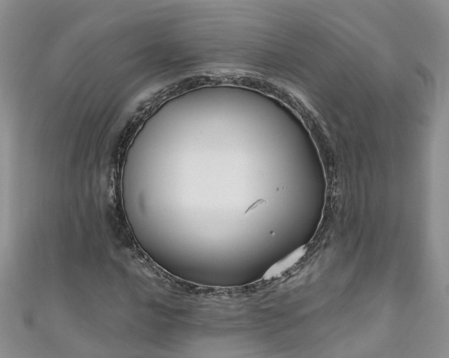 X0000110951016200906261316
