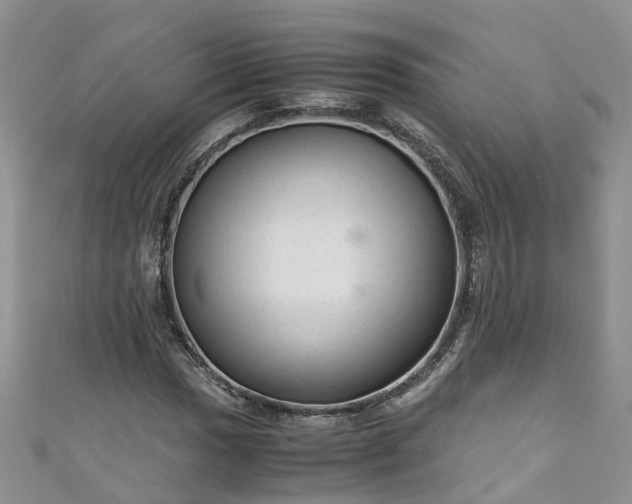 X0000110951017200906261316