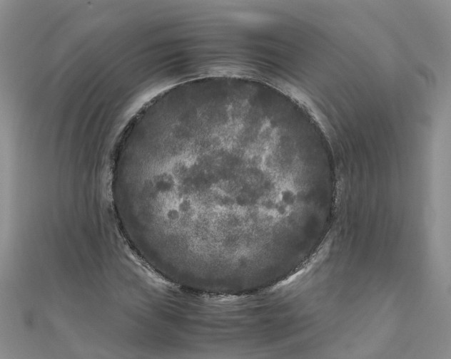 X0000110951019200906261316