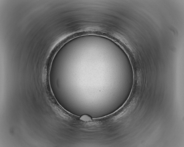 X0000110951021200906261316