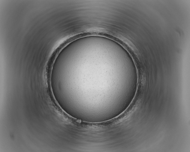 X0000110951022200906261316