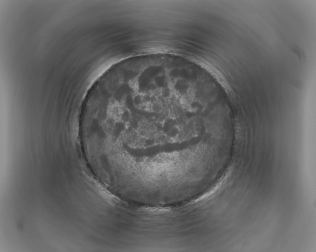 X0000110951023200906261316