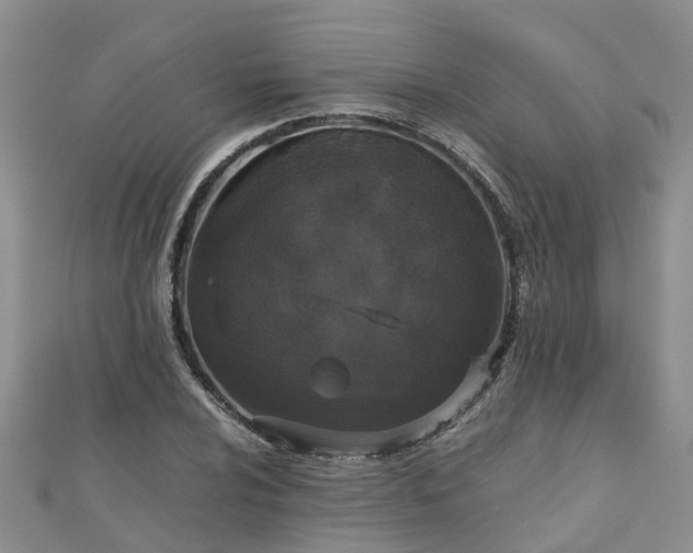 X0000110951024200906261316