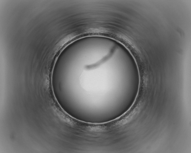 X0000110951025200906261316