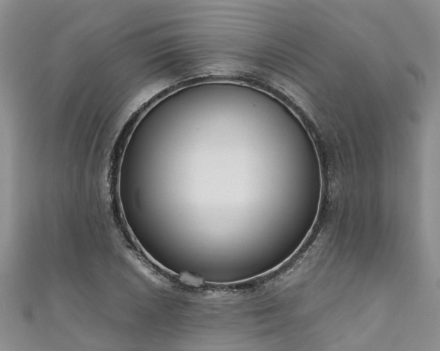 X0000110951026200906261316
