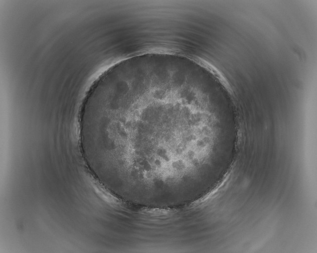 X0000110951027200906261316