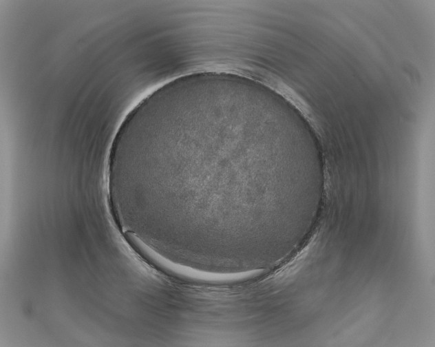 X0000110951028200906261316