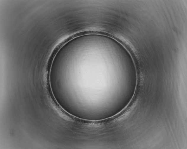 X0000110951029200906261316