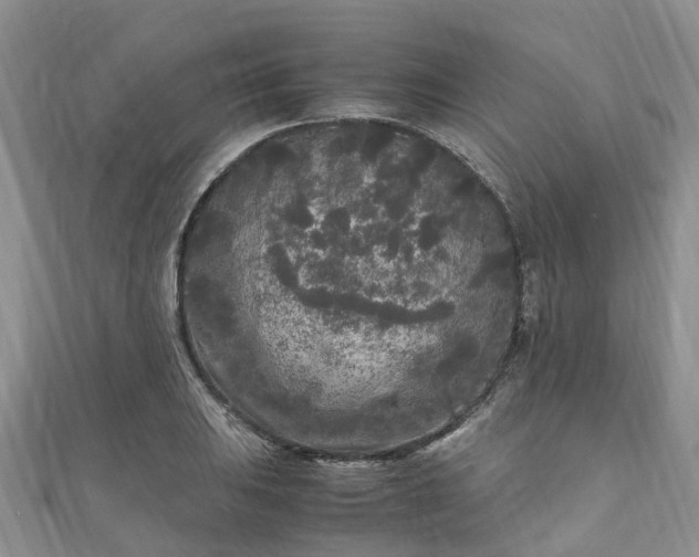 X0000110951031200906261317