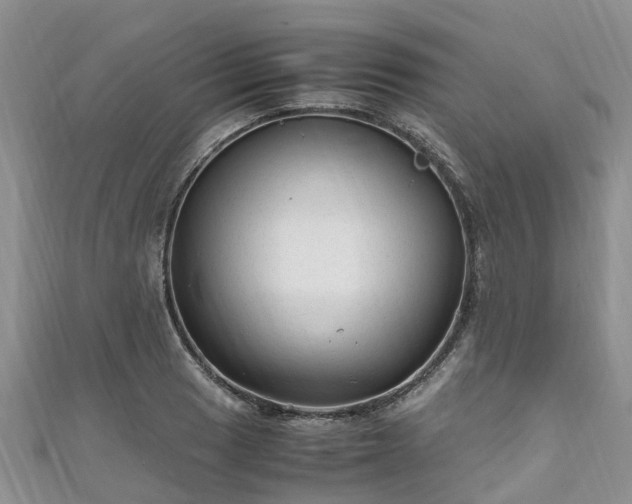 X0000110951033200906261317
