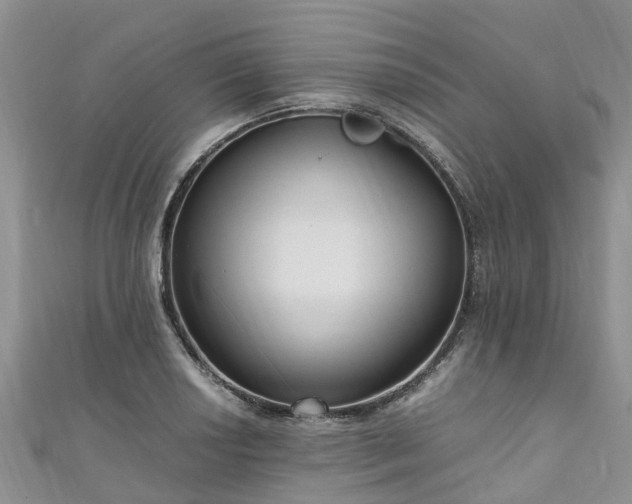 X0000110951034200906261317