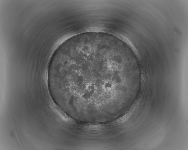 X0000110951035200906261317