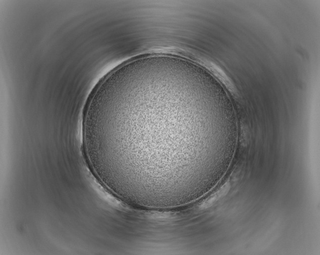 X0000110951036200906261317