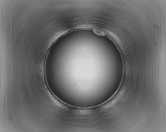 X0000110951041200906261317