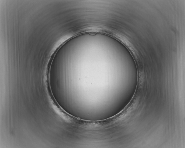 X0000110951042200906261317
