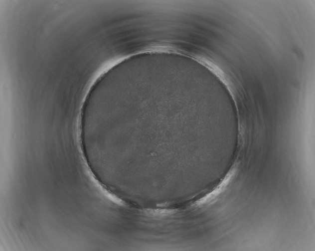 X0000110951045200906261317