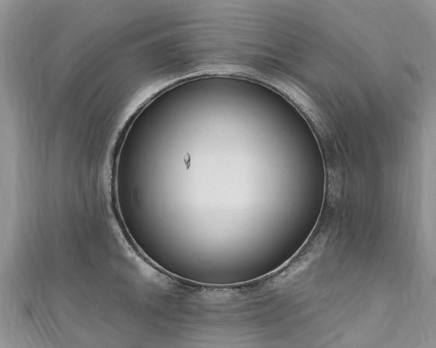 X0000110951046200906261317