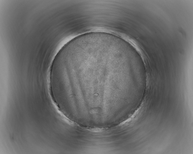 X0000110951048200906261317