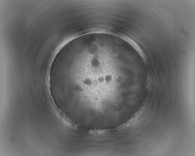 X0000110951051200906261317