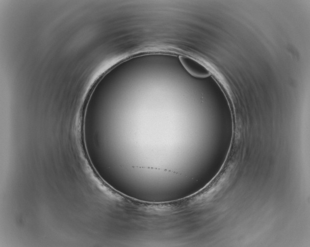 X0000110951053200906261317