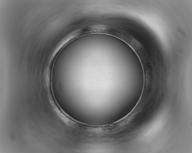 X0000110951054200906261317