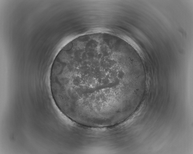 X0000110951055200906261317