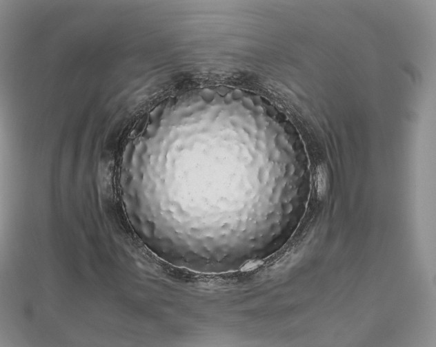 X0000110951059200906261316