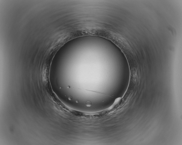 X0000110951060200906261316