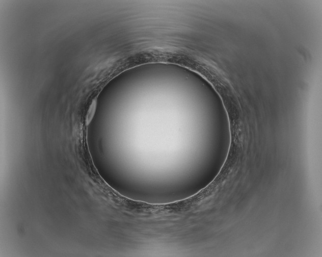 X0000110951061200906261316
