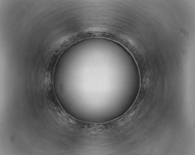 X0000110951062200906261316