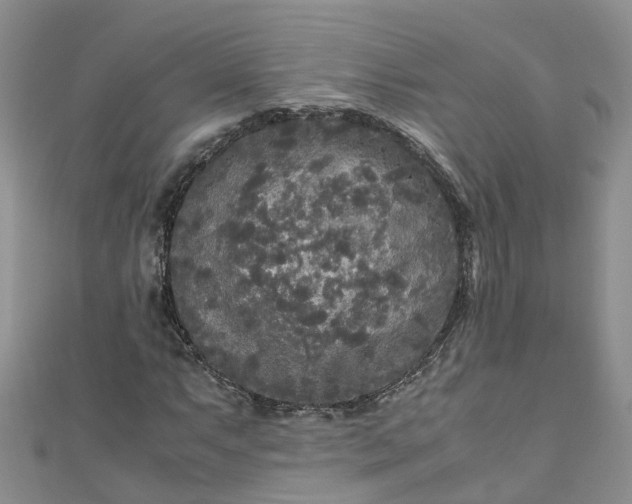 X0000110951063200906261316