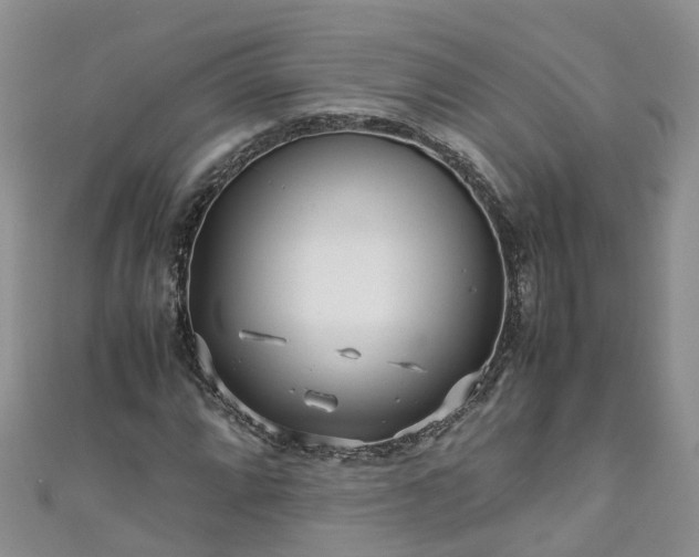 X0000110951064200906261316