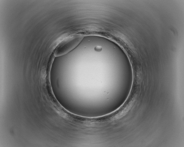 X0000110951065200906261316