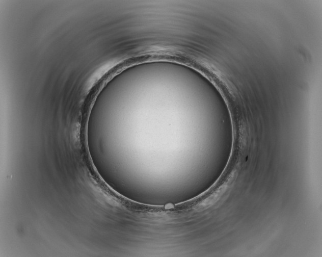 X0000110951066200906261316