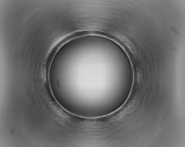 X0000110951069200906261316