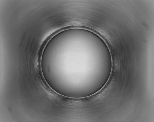 X0000110951070200906261316