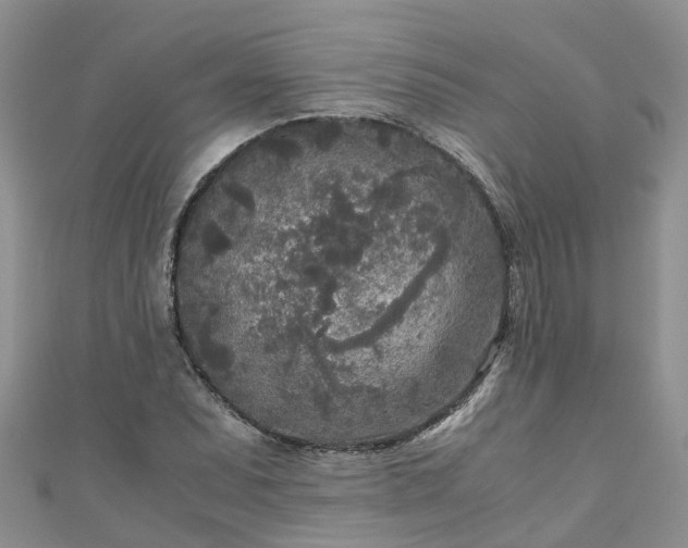 X0000110951071200906261316