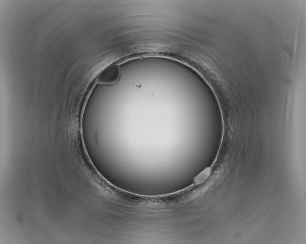 X0000110951073200906261316