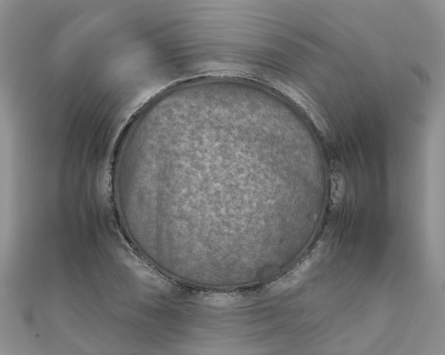 X0000110951074200906261316