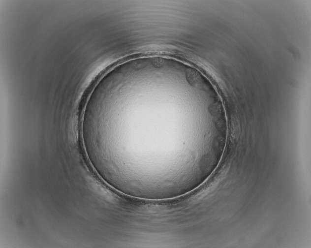 X0000110951075200906261316