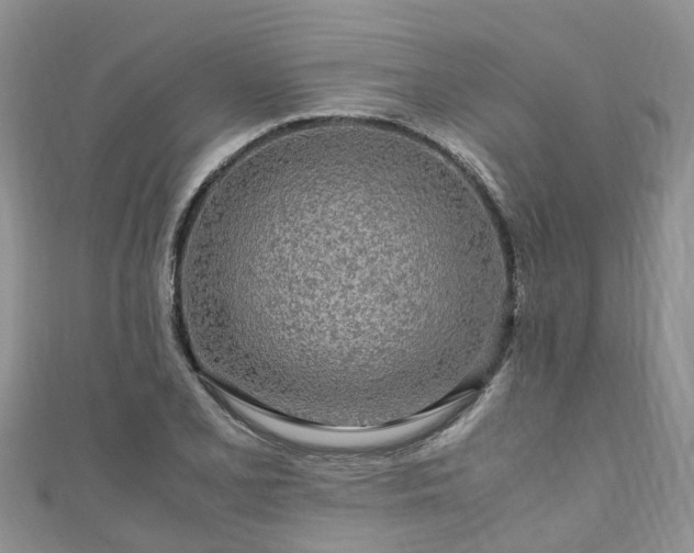 X0000110951077200906261316
