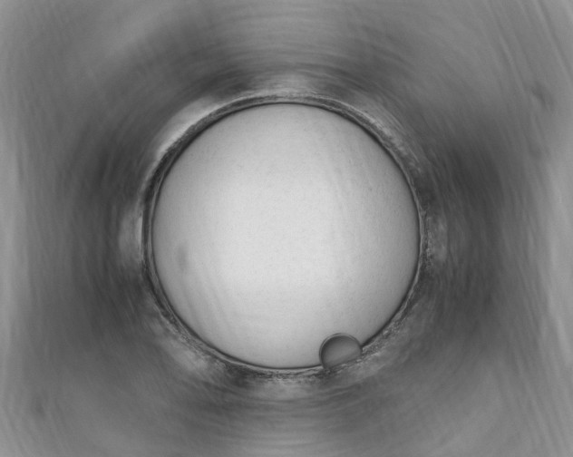 X0000110951078200906261316